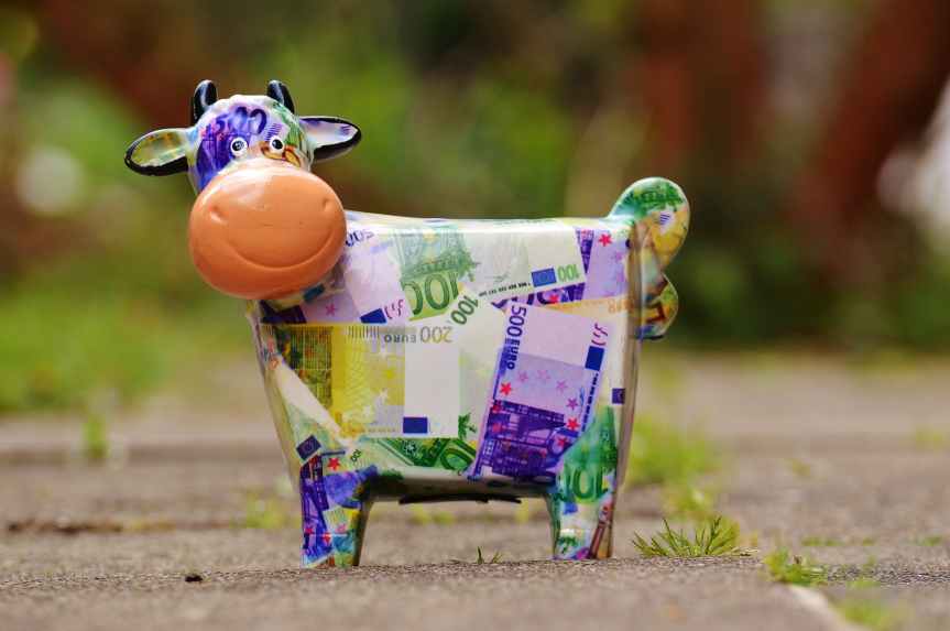 banknote cow on gray conncrete road